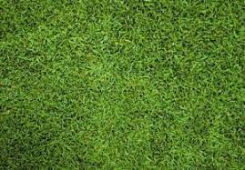 Seaspray Grass Bags